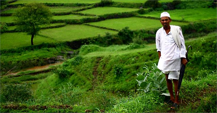 haryana agriculture