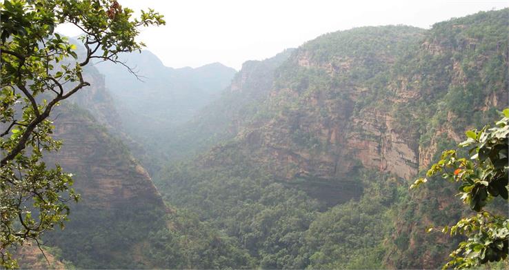 pachmarhi biosphere 