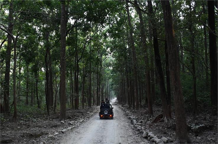 jim corbett national park in uttarakhand