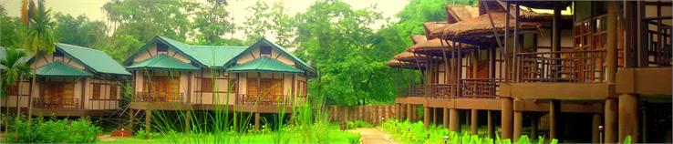 stay in kaziranga national park