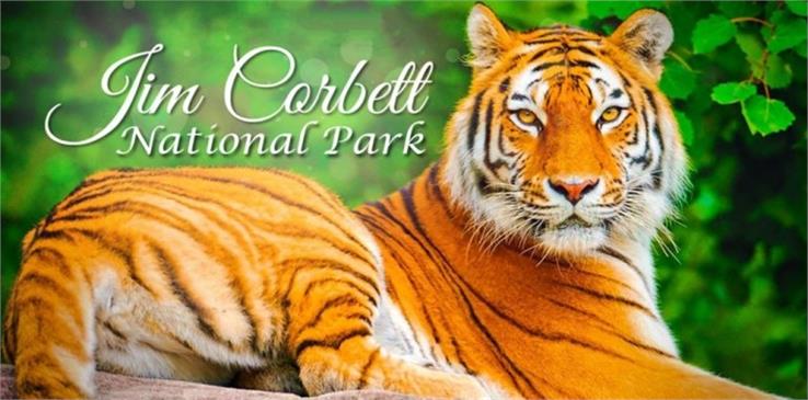 jim corbett national park 