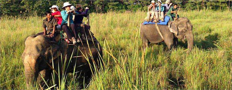 jungle safari in jim corbett national park