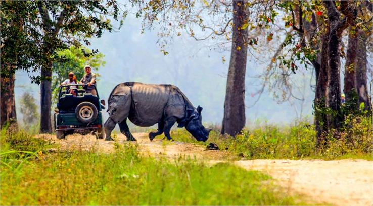 kaziranga national park jeep safari