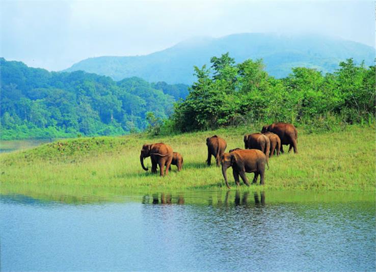 periyar national park kerala