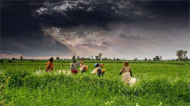  madhya pradesh agriculture