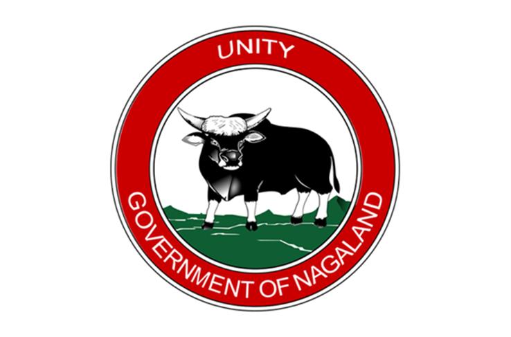 government of nagaland