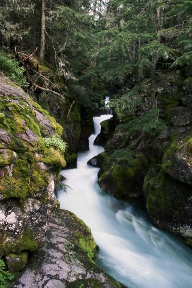 glacier in national park,