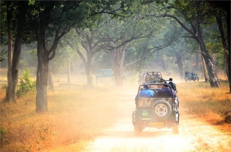 jungle safari gypsy in national park