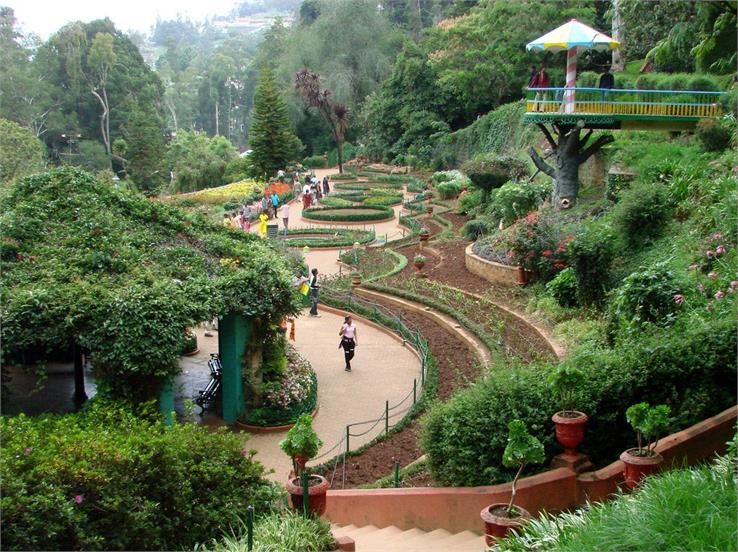 botanical garden ooty