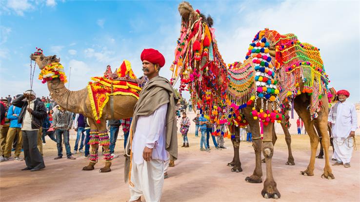 rajasthan culture