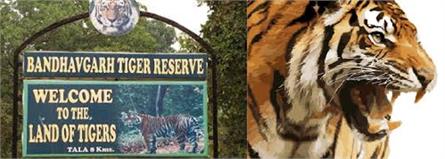 Bandhavgarh National Park