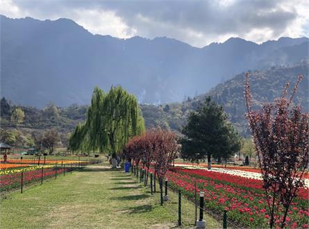 Jammu and Kashmir