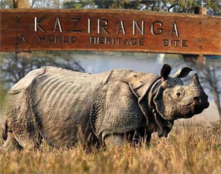 Kaziranga National Park